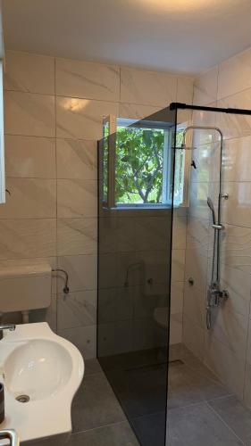 a bathroom with a glass shower and a sink at MAG Apartmani in Jezera