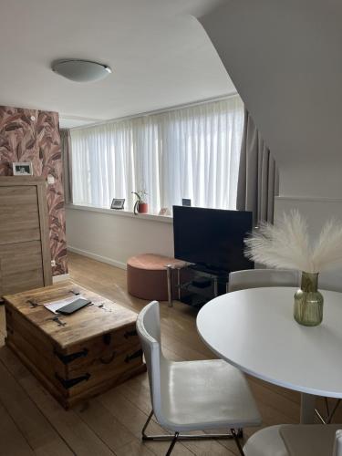 Zona d'estar a Maison Anna Clara - stijlvol gerenoveerd appartement met parkzicht in Nieuwpoort