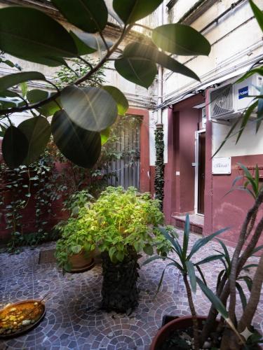 Suite Cantelmo 10