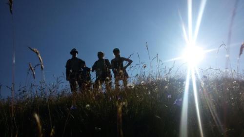 a group of three men standing in a grassy field at Apartment Bauernhof Thurnummerstall in Hollersbach im Pinzgau