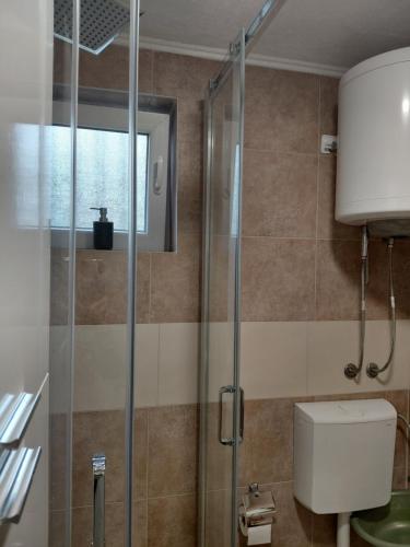 a bathroom with a shower and a toilet at Anastasija & Tara in Ðuraševići