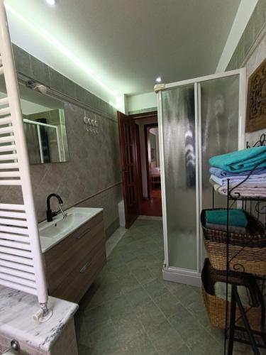 a bathroom with a shower and a sink and a shower at B&B La Casetta in Gattinara