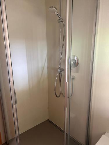 a shower with a glass door in a bathroom at Milla - Exklusives Wohnen im Grünen in Cortaccia