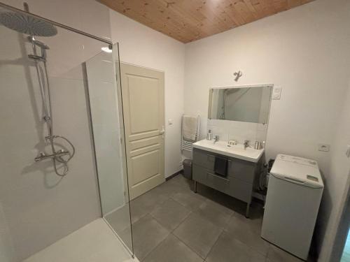 a bathroom with a shower and a sink and a mirror at La Petite Ferme des Etoiles in Mauroux