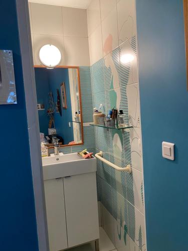 a bathroom with a sink and a mirror at Chambre chez l'habitant dans grande maison Arborée in Orly