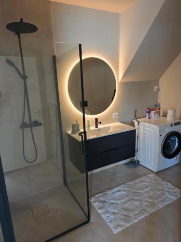 a bathroom with a shower and a sink and a mirror at Fjordstay in Vennesla