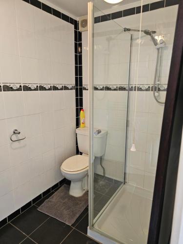 a bathroom with a toilet and a glass shower at Quiet Room with ensuite in Chippenham