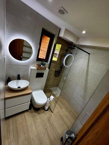 ein Badezimmer mit Toilette, Waschbecken und Dusche in der Unterkunft Vila ILKA in Praid