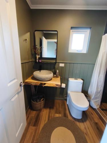 a bathroom with a toilet and a mirror at Boutique Cabin with Strait of Magellan Views in Punta Arenas