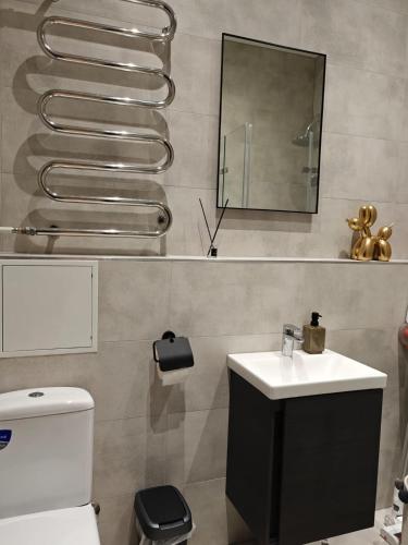 a bathroom with a toilet and a sink and a mirror at Vytauto Apartamentai in Biržai