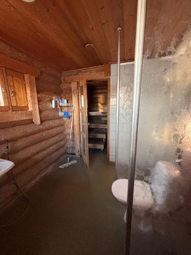 a bathroom with a shower and a toilet in a room at Kalliorinteen Mökit Havupirtti in Töysä