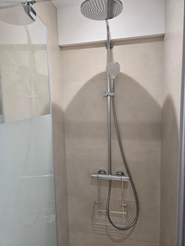 a shower with a shower head in a bathroom at Lanabi - Studio Cocon in Salies-de-Béarn