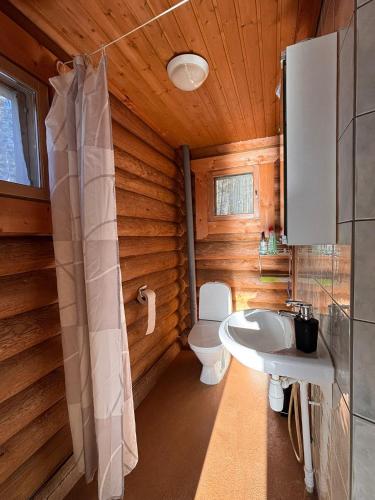 a bathroom with a toilet and a sink at Kalliorinteen Mökit Lehtipirtti in Töysä