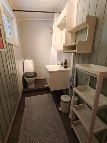 a small bathroom with a toilet and a sink at Hytte Lødingen Vestbygd, når Lofoten, med utsikt in Lødingen