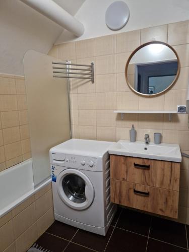 a bathroom with a washing machine and a sink at Apartmány Obora in Nová Bystřice