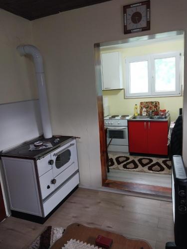 a small kitchen with a stove and a sink at Seoski raj in Podgorica