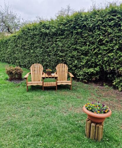 two chairs and a table and a flower pot in a yard at Brīvdienu māja Vecdaugavā in Riga