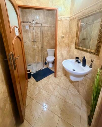 a bathroom with a sink and a shower and a toilet at IDEAL in Płock