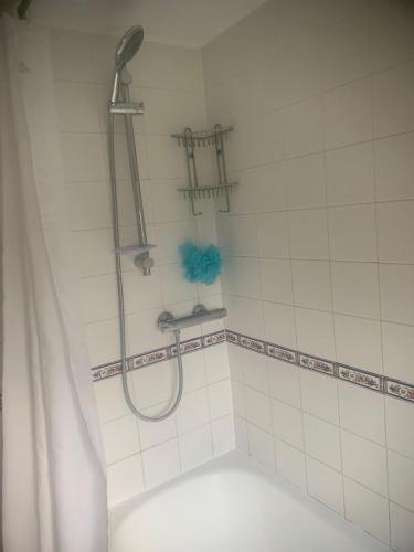a shower in a bathroom with a shower curtain at Spacious Suffolk Cottage in Village Setting in Westleton