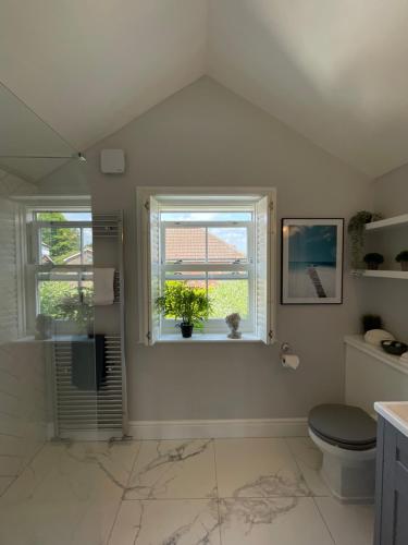 a bathroom with a toilet and a window at Wisteria House Boutique Stay Marlow in Marlow