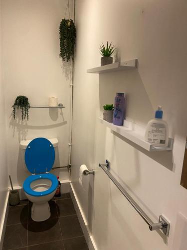 a bathroom with a toilet with a blue seat at The Blue Lodge in Galway