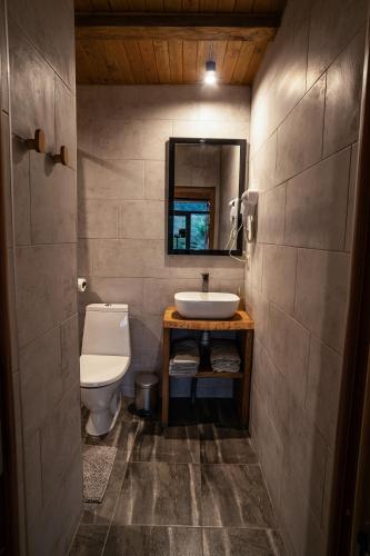 a bathroom with a toilet and a sink and a mirror at Terra House in Andrushovka
