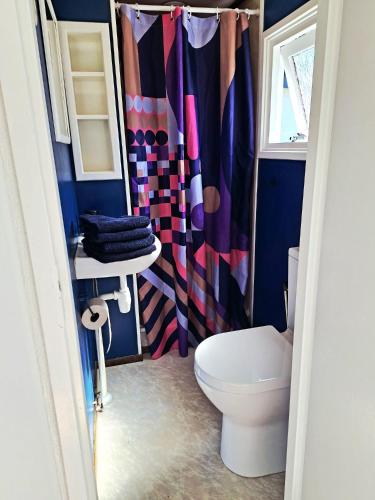 a bathroom with a toilet and a shower curtain at Huisje VOS in Schoonloo