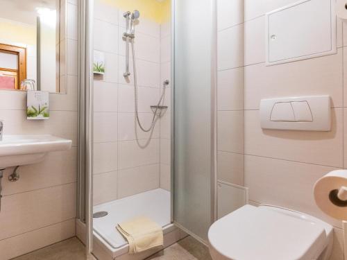 a bathroom with a shower and a toilet and a sink at Geräumiges Studio in Bad Birnbach in Bad Birnbach
