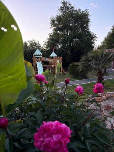 a garden with pink flowers and a playground at Au Petit Bignon in Les Épesses