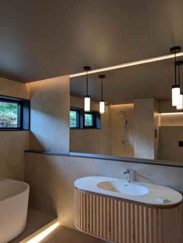 a bathroom with a sink and a mirror at Reed Panorama in Reed