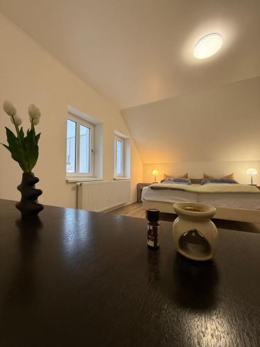 Big room in City Center at Historic Wenceslas Sq