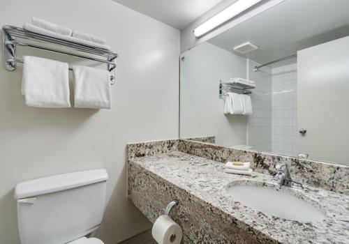 a bathroom with a sink and a toilet and a mirror at Heritage Inn Hotel & Convention Centre - High River in High River