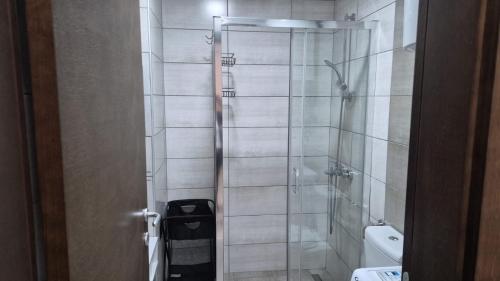 a bathroom with a glass shower with a toilet at Aqua Lux Apartman in Jagodina