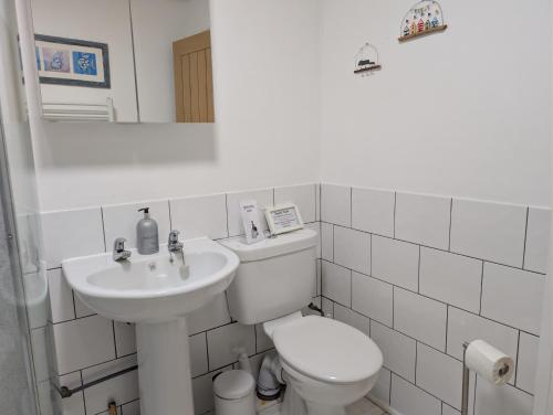 a white bathroom with a toilet and a sink at Scoor - Garden Cottage in Bunessan
