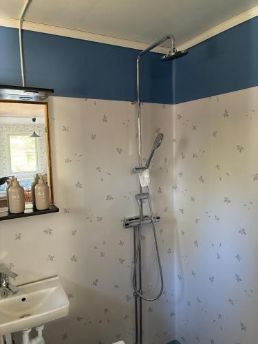 a bathroom with a shower with stars on the wall at Nyrenoverad stuga mellan två sjöar in Järlåsa