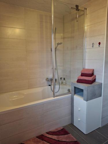 a bathroom with a bath tub and a shower at Ferienwohnung Anke Günther Dach in Bad Kissingen
