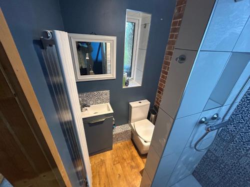 a bathroom with a toilet and a sink and a mirror at Cobblers Lodge in Somersham