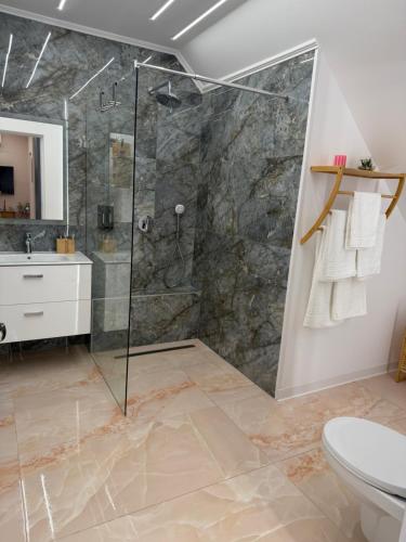a bathroom with a shower and a toilet and a sink at WOT Rose Residence in Arad