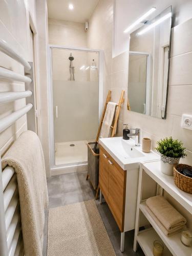 a bathroom with a sink and a shower at Appartement calme et spacieux - Garage vélo in Saint-Quentin