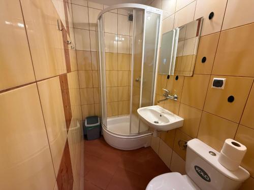 a bathroom with a shower and a toilet and a sink at Villa Alexandria in Darłówko