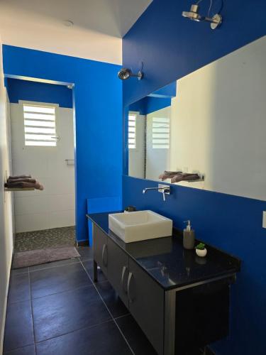 a blue bathroom with a sink and a mirror at Splendide villa de Courcelles 4 étoiles Piscine & jacuzzi in Saint-François