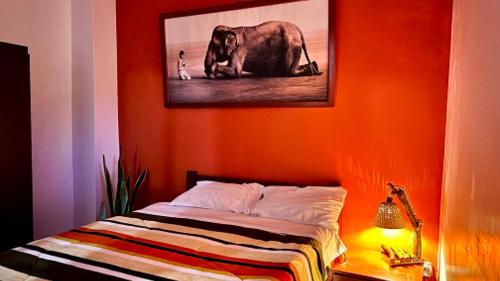 a bed in a room with a picture of an elephant at La Casa Rustica in Puerto Chicama