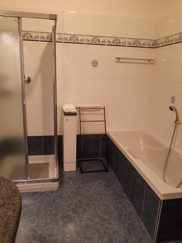 a bathroom with a shower and a bath tub at Casa Marina in Omegna