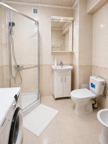 a bathroom with a shower toilet and a sink at Apartament in Botanica in Chişinău