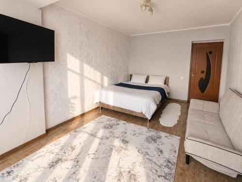 a bedroom with a bed and a couch and a tv at Apartament in Botanica in Chişinău