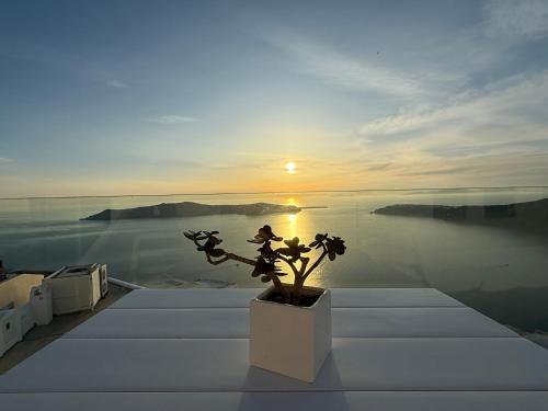 Foto Esmi Suites Santorini 5