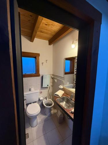 a bathroom with a toilet and a sink at Inlandsis Aparts in El Chalten