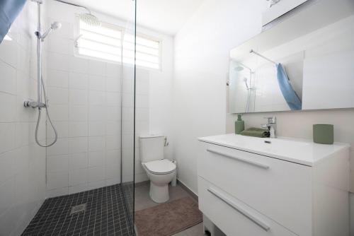 a bathroom with a shower and a toilet and a sink at Appartement bois de chaumes in Cayenne