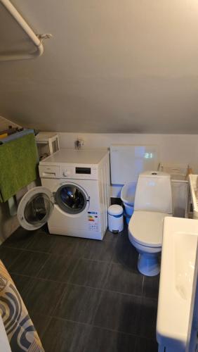 a bathroom with a washing machine and a toilet at Cozy Fjord Loft in Reyðarfjörður