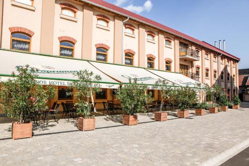 a row of potted trees in front of a building at Hunor Hotel és Étterem in Vásárosnamény